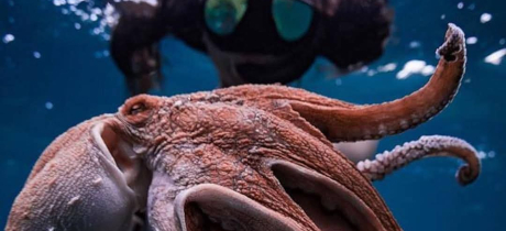 Course Level 2 illustration